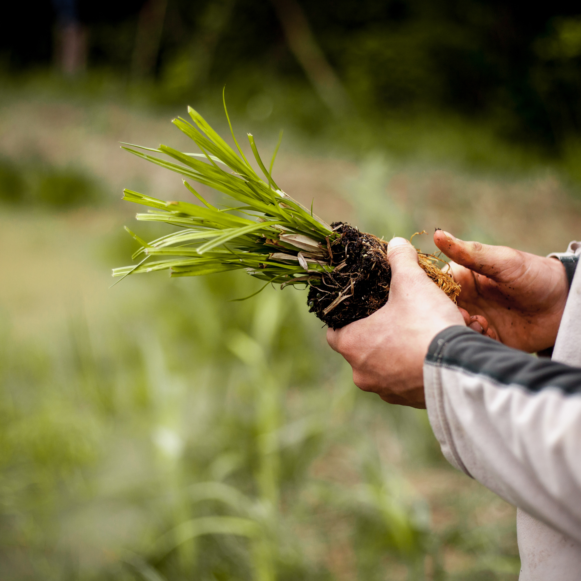 Formations Techniques et Agricoles